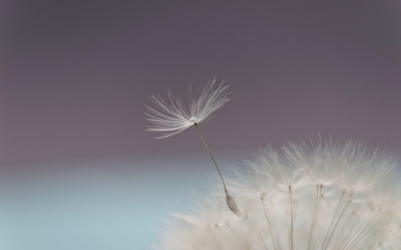 我的世界种子洞穴地形记录：地表裂口处光线渐暗，向下延伸的洞穴通道两侧裸露煤矿与铁矿